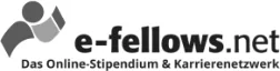 e-fellows.net
